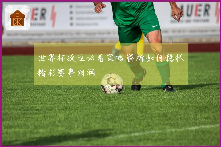 世界杯投注必看策略解析如何稳抓精彩赛事利润