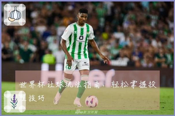 世界杯让球玩法指南，轻松掌握投注技巧