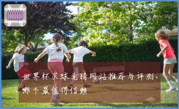 世界杯买球竞猜网站推荐与评测，哪个最值得信赖