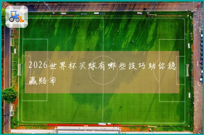 2026世界杯买球有哪些技巧助你稳赢赔率
