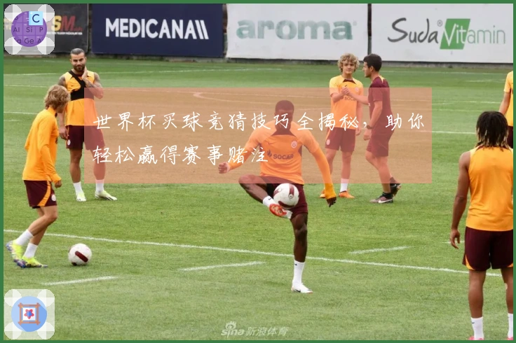 世界杯买球竞猜技巧全揭秘，助你轻松赢得赛事赌注