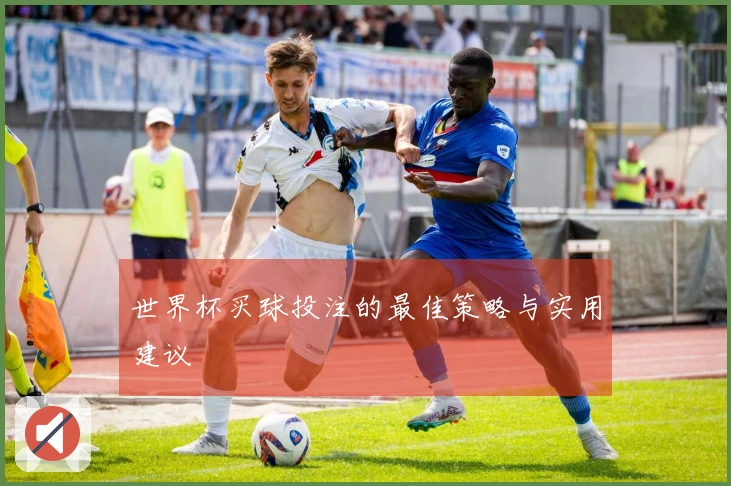 世界杯买球投注的最佳策略与实用建议