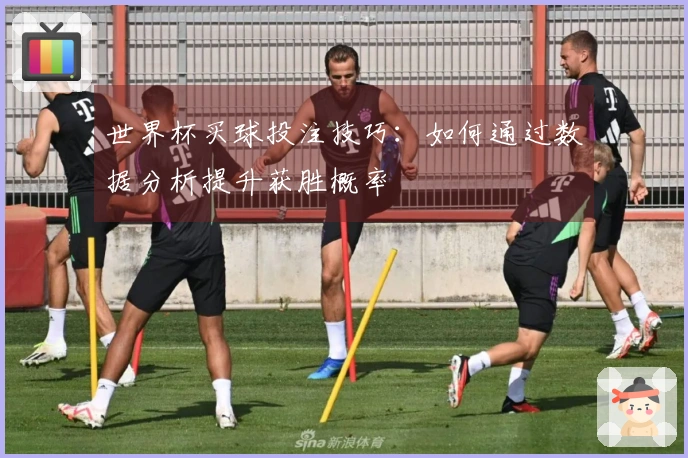 世界杯买球投注技巧：如何通过数据分析提升获胜概率