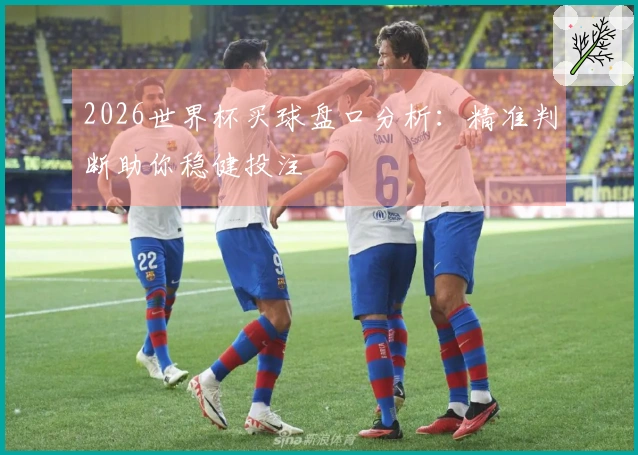 2026世界杯买球盘口分析：精准判断助你稳健投注