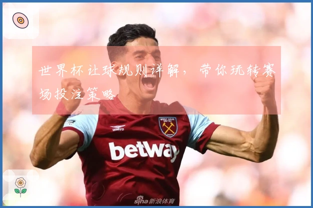 世界杯让球规则详解，带你玩转赛场投注策略