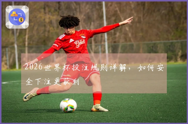 2026世界杯投注规则详解，如何安全下注更获利