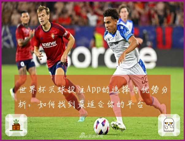 世界杯买球投注App的选择与优势分析，如何找到最适合你的平台