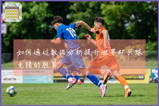 如何通过数据分析提升世界杯买球竞猜的胜算