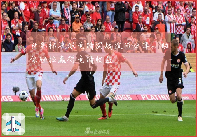 世界杯滚球竞猜实战技巧分享，助你轻松赢得竞猜收益