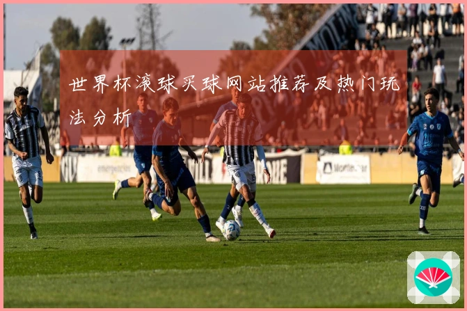 世界杯滚球买球网站推荐及热门玩法分析