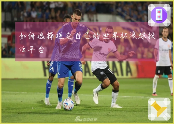 如何选择适合自己的世界杯滚球投注平台