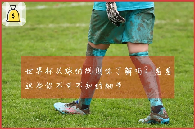 世界杯买球的规则你了解吗？看看这些你不可不知的细节