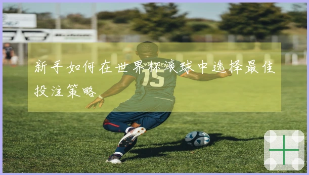 新手如何在世界杯滚球中选择最佳投注策略