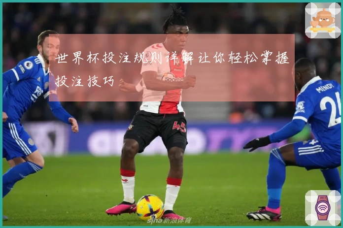 世界杯投注规则详解让你轻松掌握投注技巧