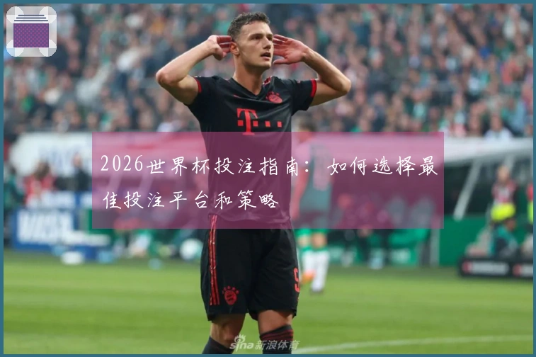 2026世界杯投注指南：如何选择最佳投注平台和策略