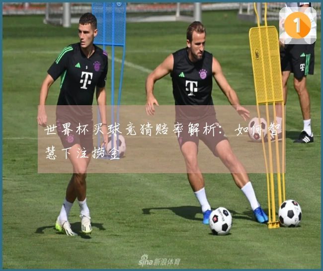 世界杯买球竞猜赔率解析：如何智慧下注捞金