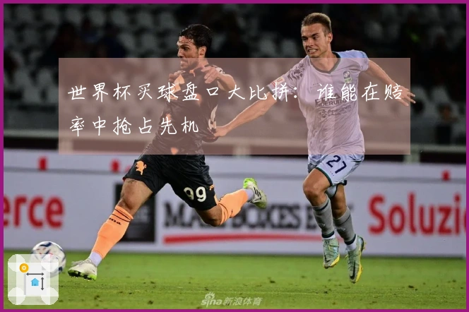 世界杯买球盘口大比拼：谁能在赔率中抢占先机