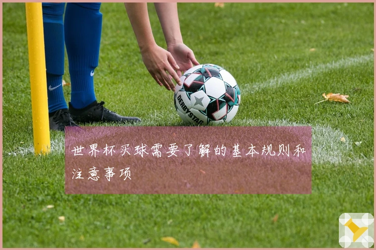 世界杯买球需要了解的基本规则和注意事项